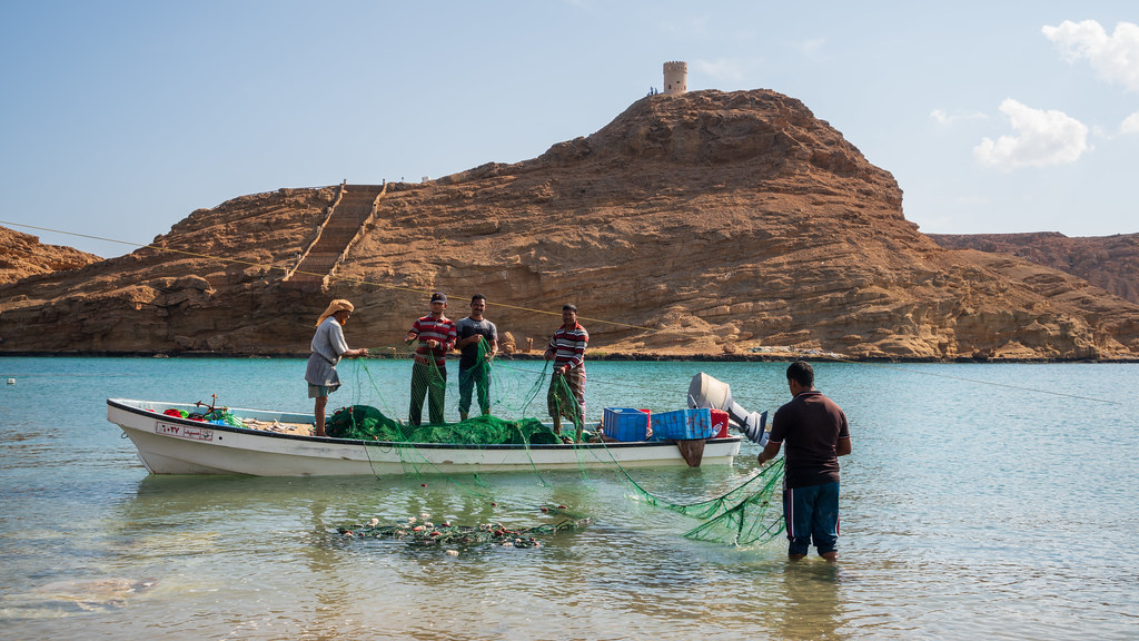 Boat safari