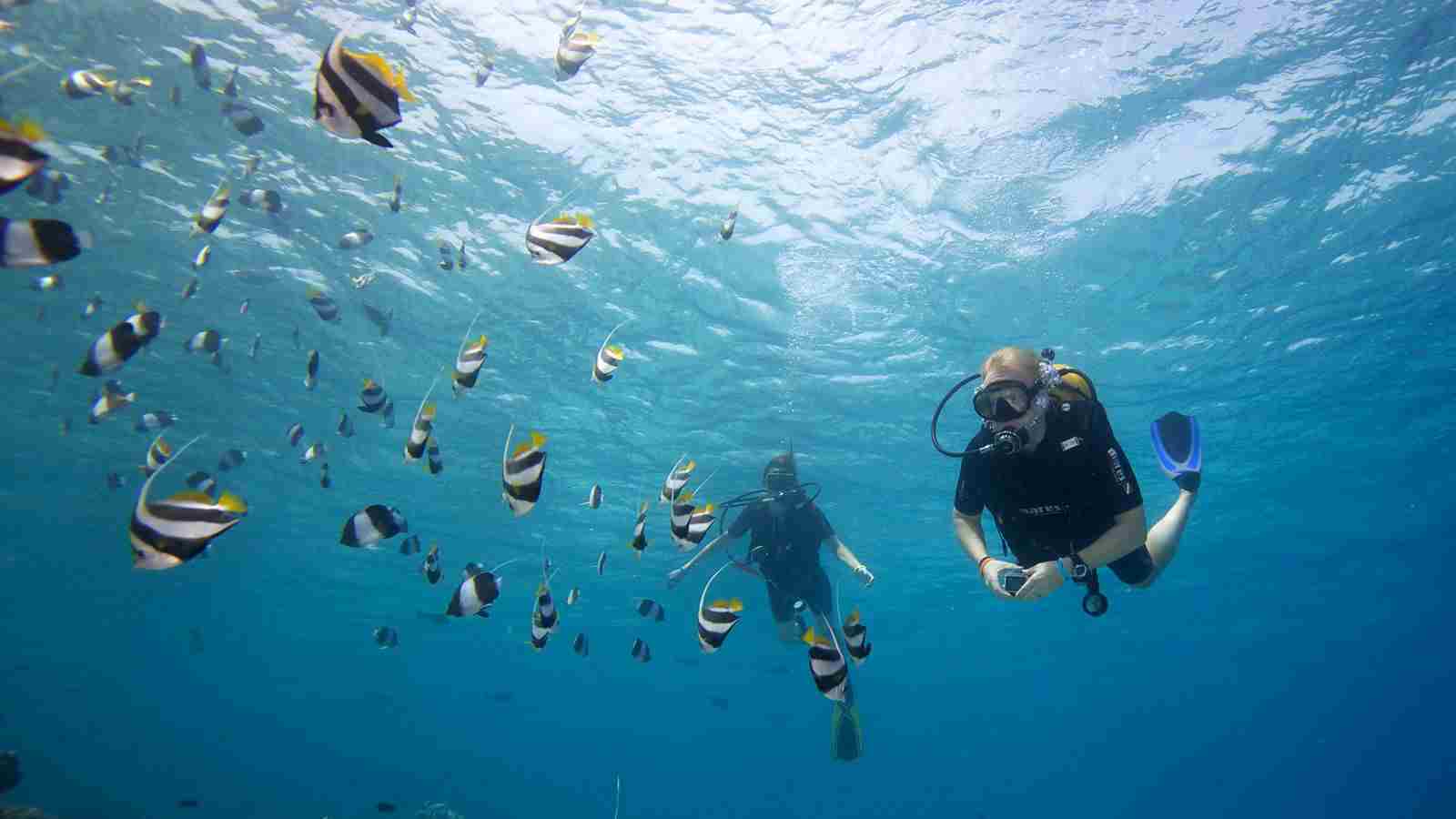 Socotra diving coast