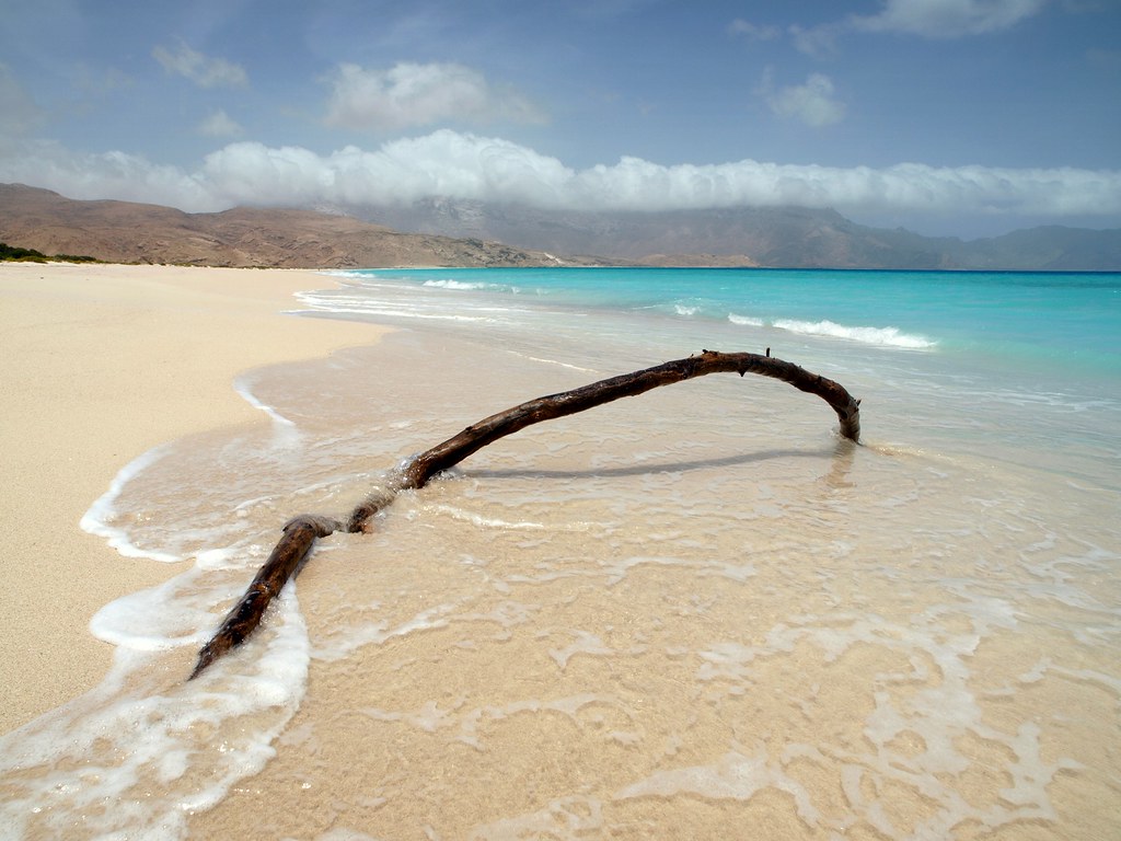 Socotra coast